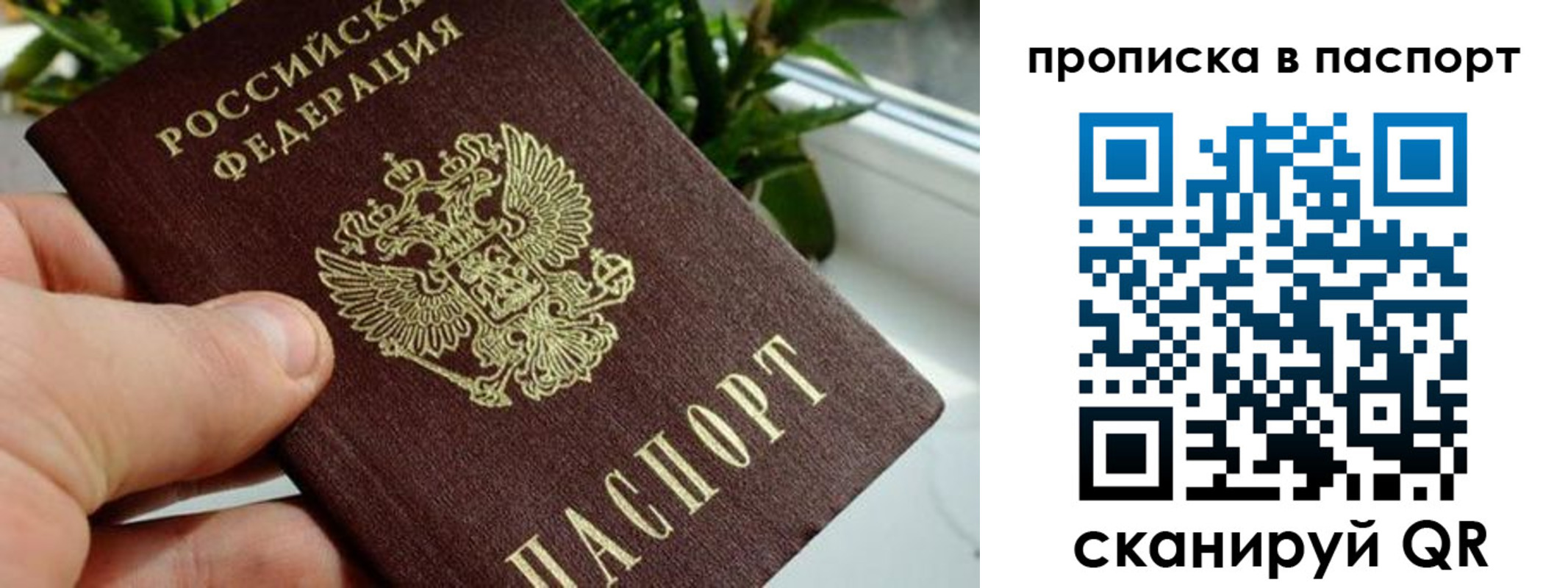 пропишу в квартире в Крыму
